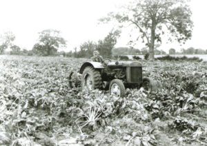 Tractor in the field near Kent Life - historical